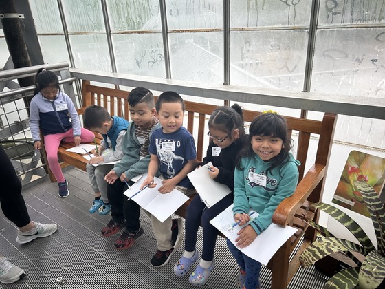 Students draw observations 