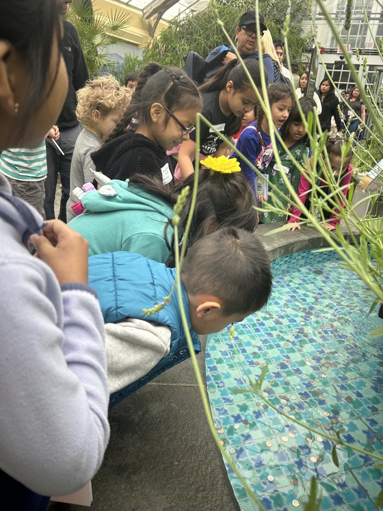 Students take a peek in the pond 