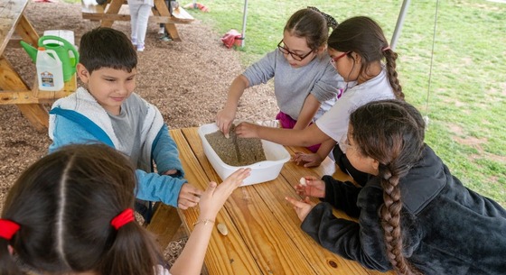 students working together outside
