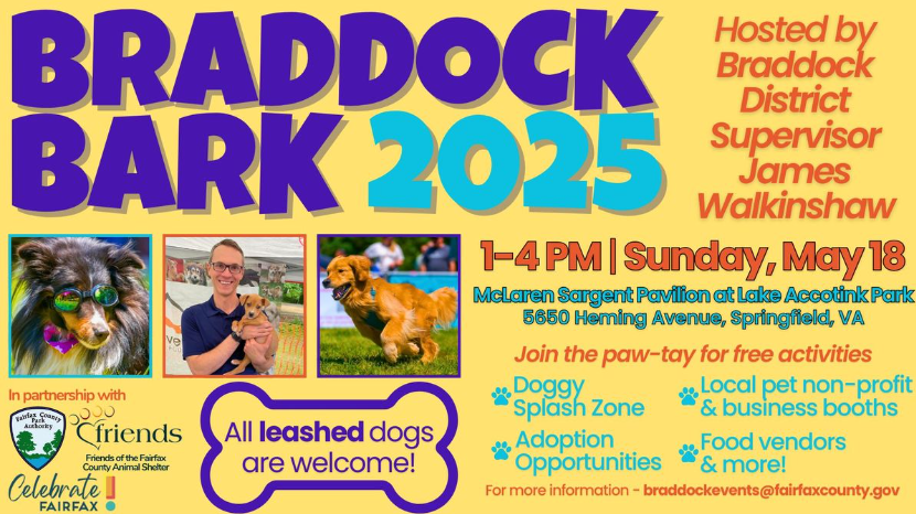 graphic for Braddock Bark