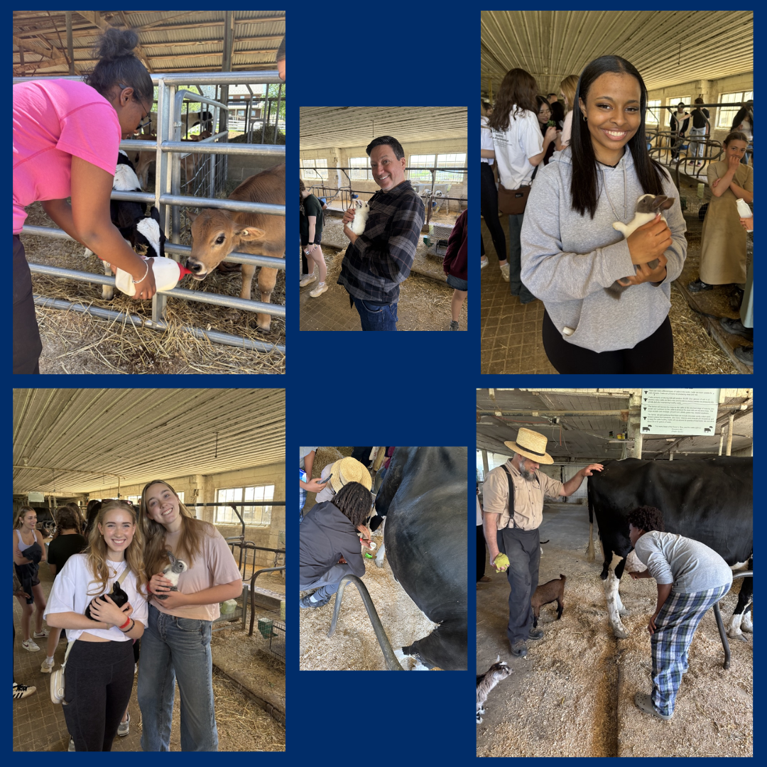 students holding a feeding animals