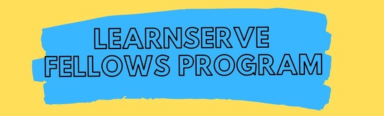 Learnserve fellows program