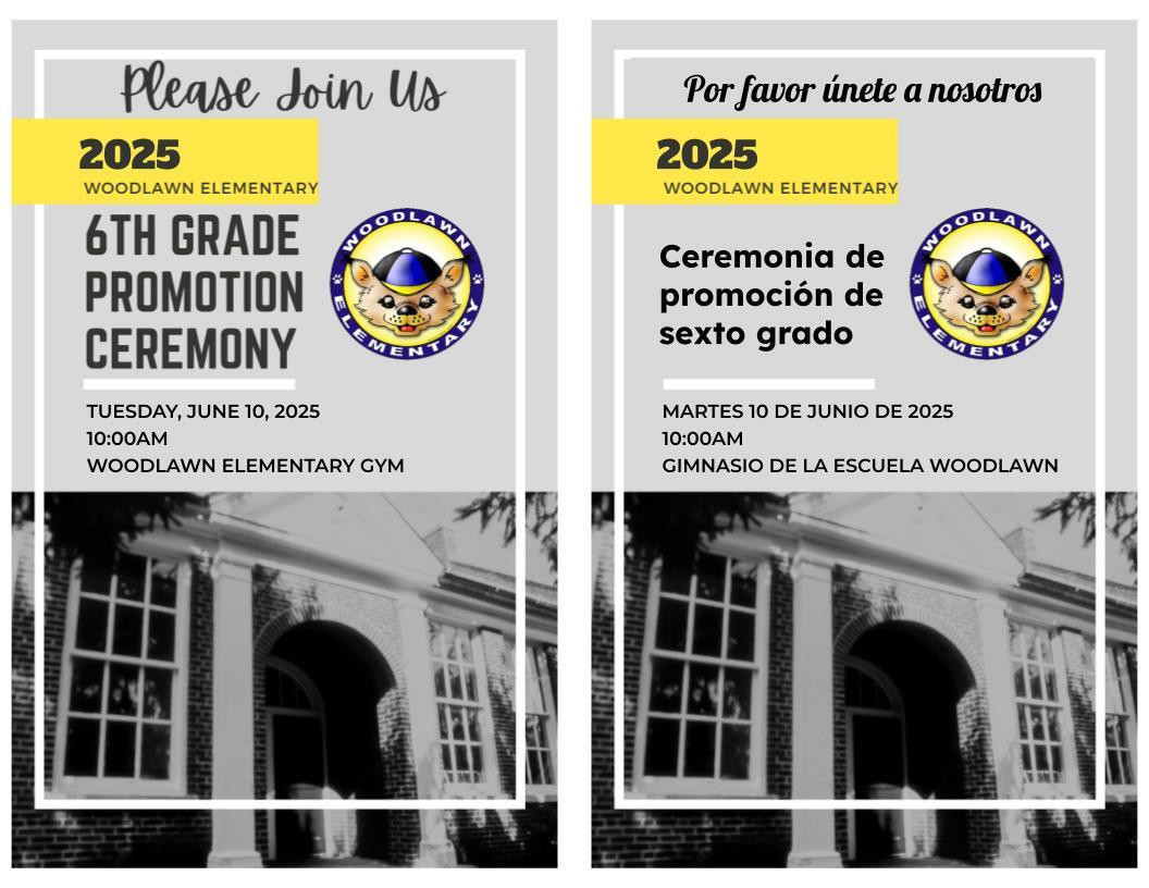 promotion flyer