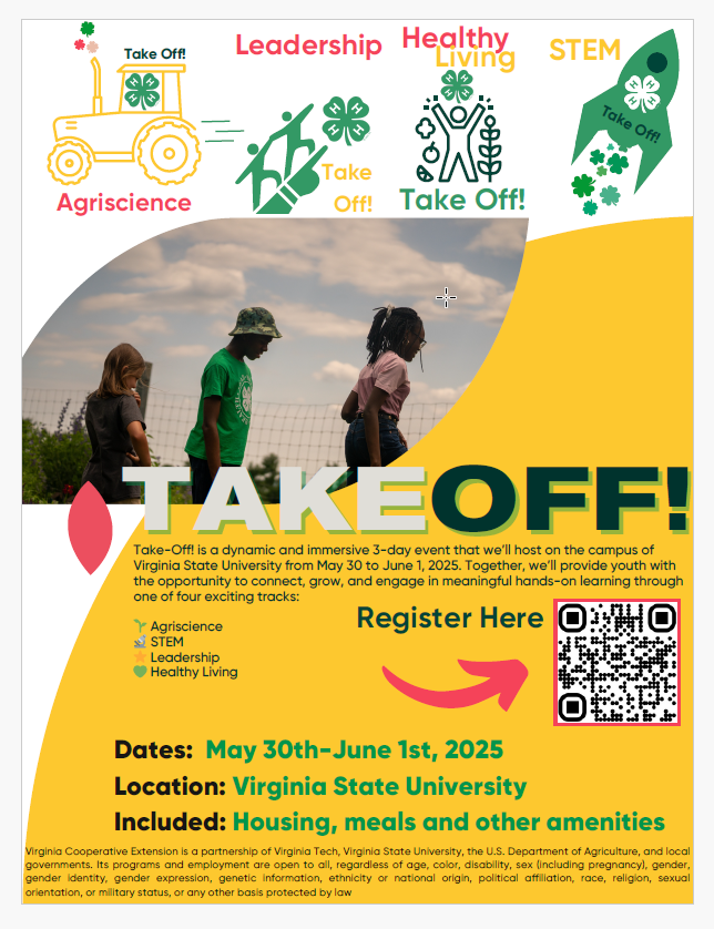 summer opportunities