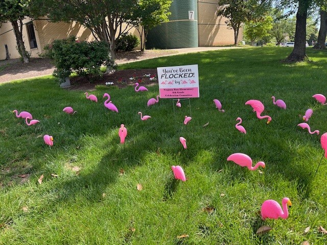 Flocked