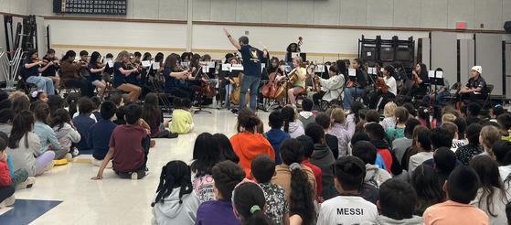 Strings concert May 2025