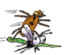 Tick and Mosquito Safety Image