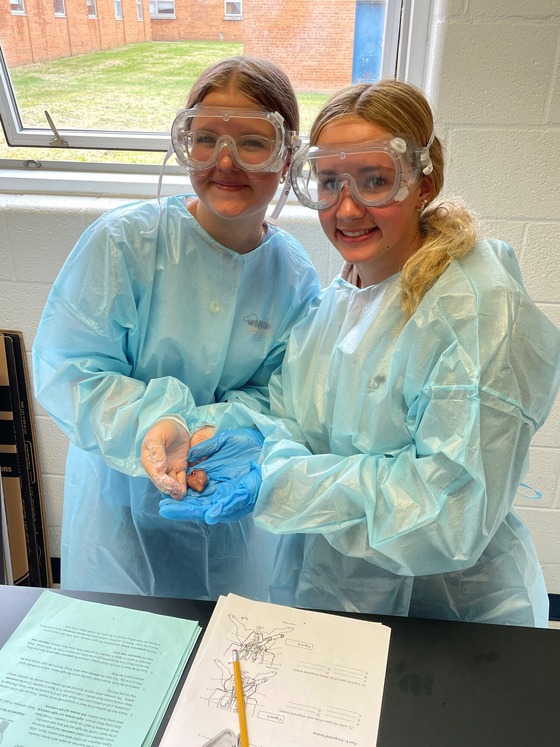students holding a pigs heart in science class