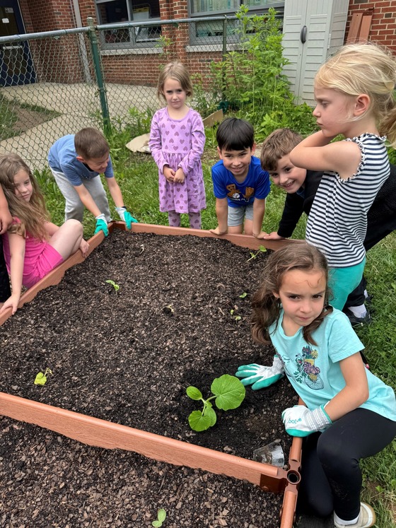 students working in the learning garden