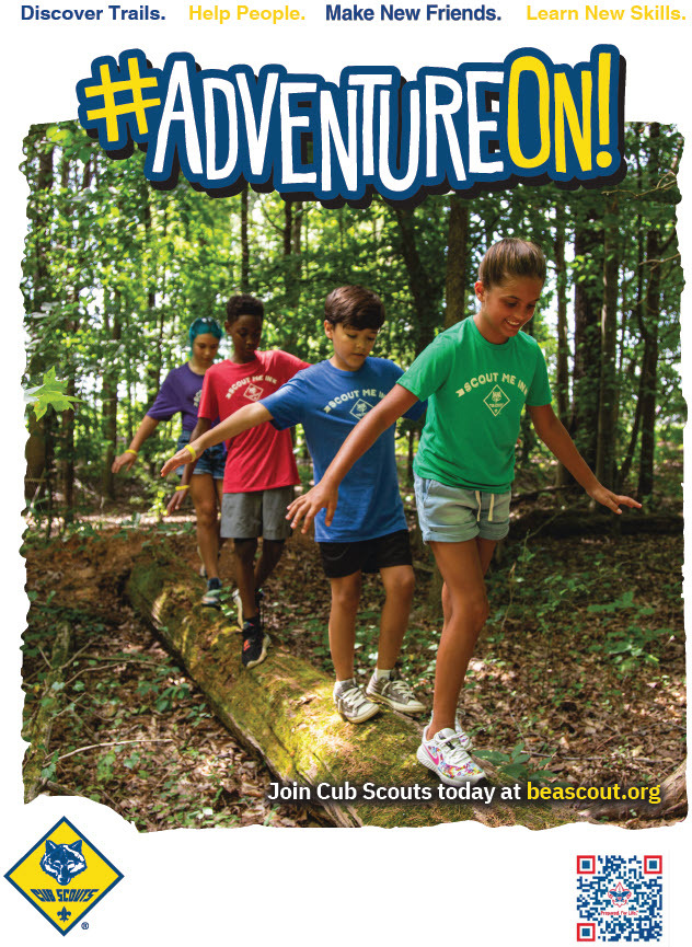 Cub Scouts