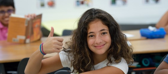 Mental Health Summer Consults