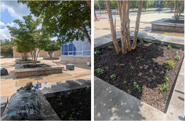 Planters at school front entrance