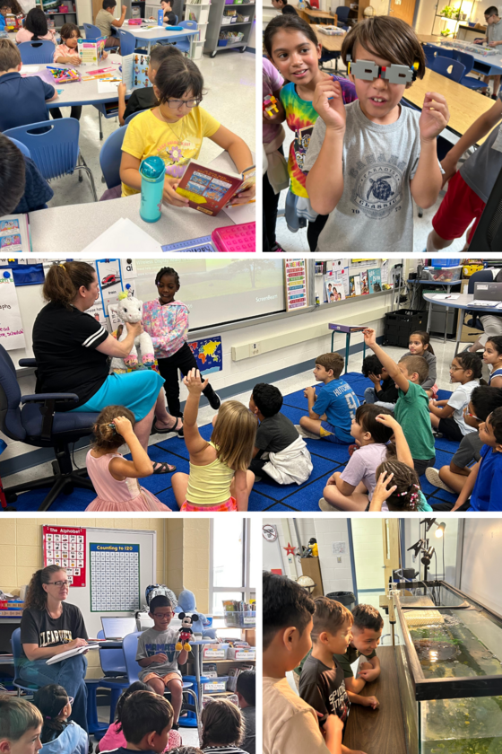 This week at Clearview