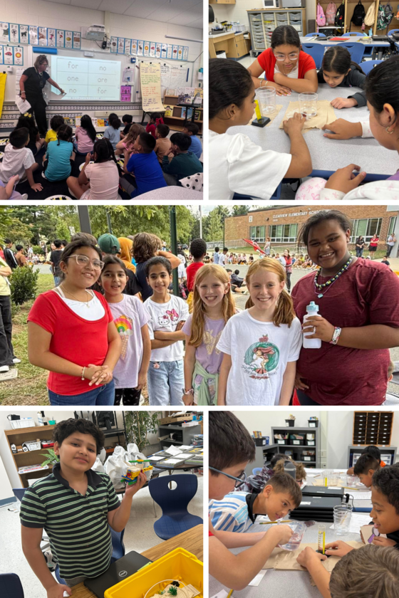 This week at Clearview