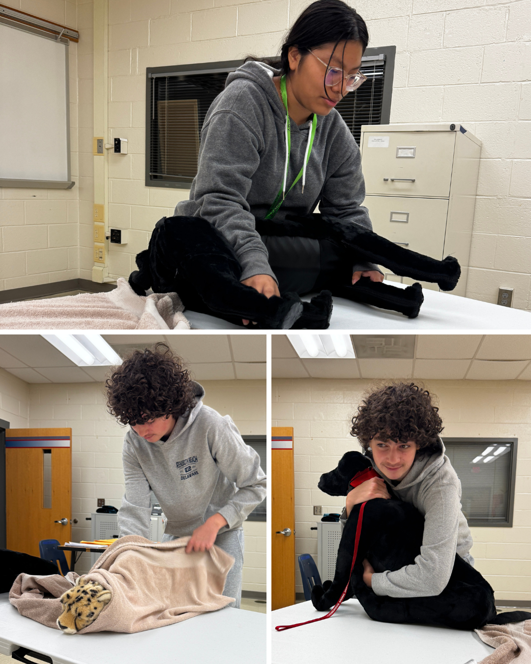 Veterinary Science Restraints