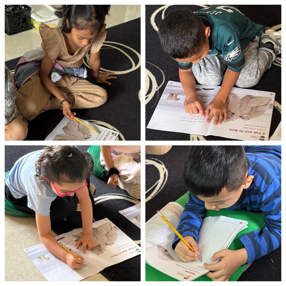 Students engaged in Benchmark Advanced Lessons