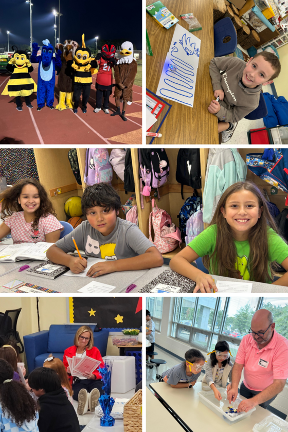 This week at Clearview