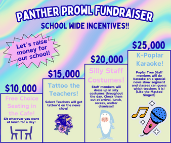 Schoolwide Incentives