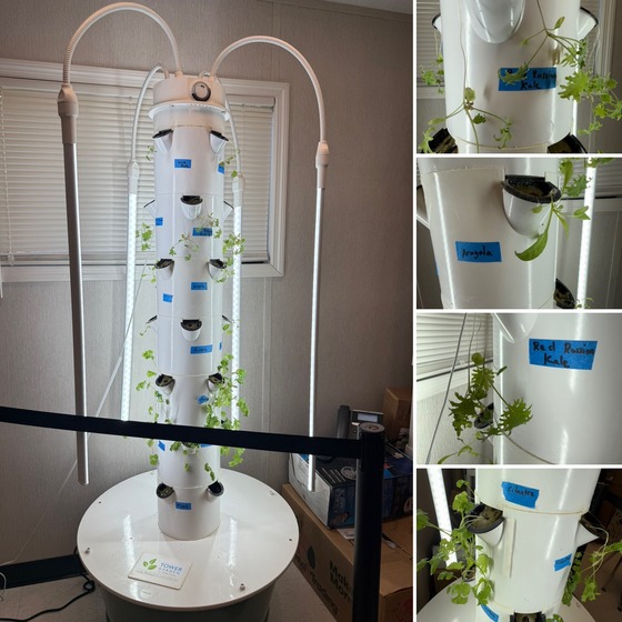 Tower Garden