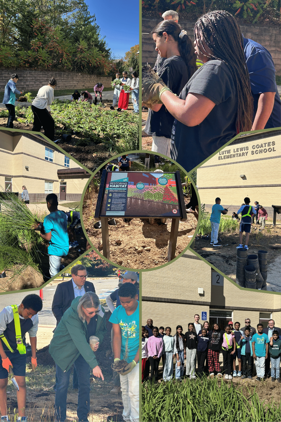 Coates ES Students Plant FCPS Get 2 Green