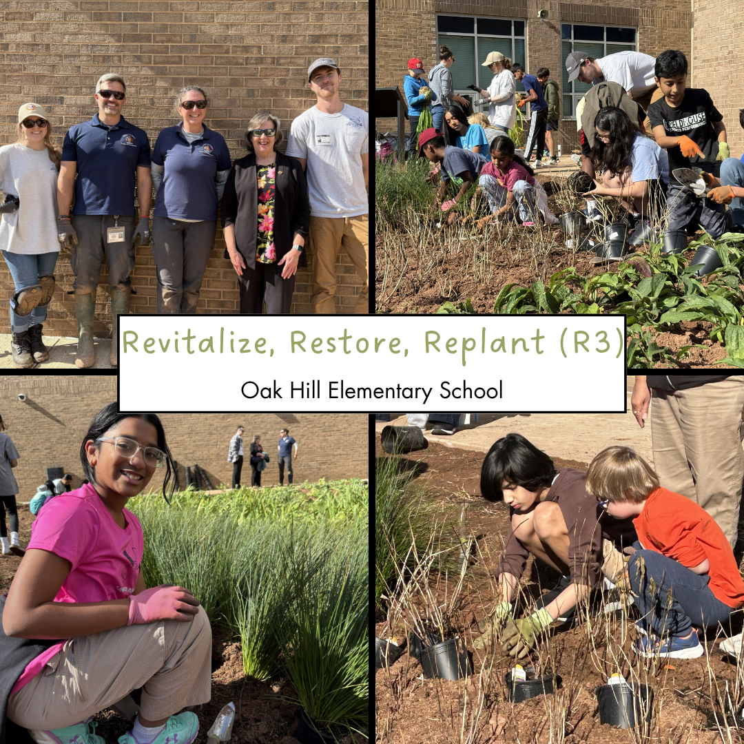 4 panel picture of students planting