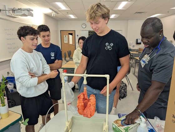 Students observing a pig lung