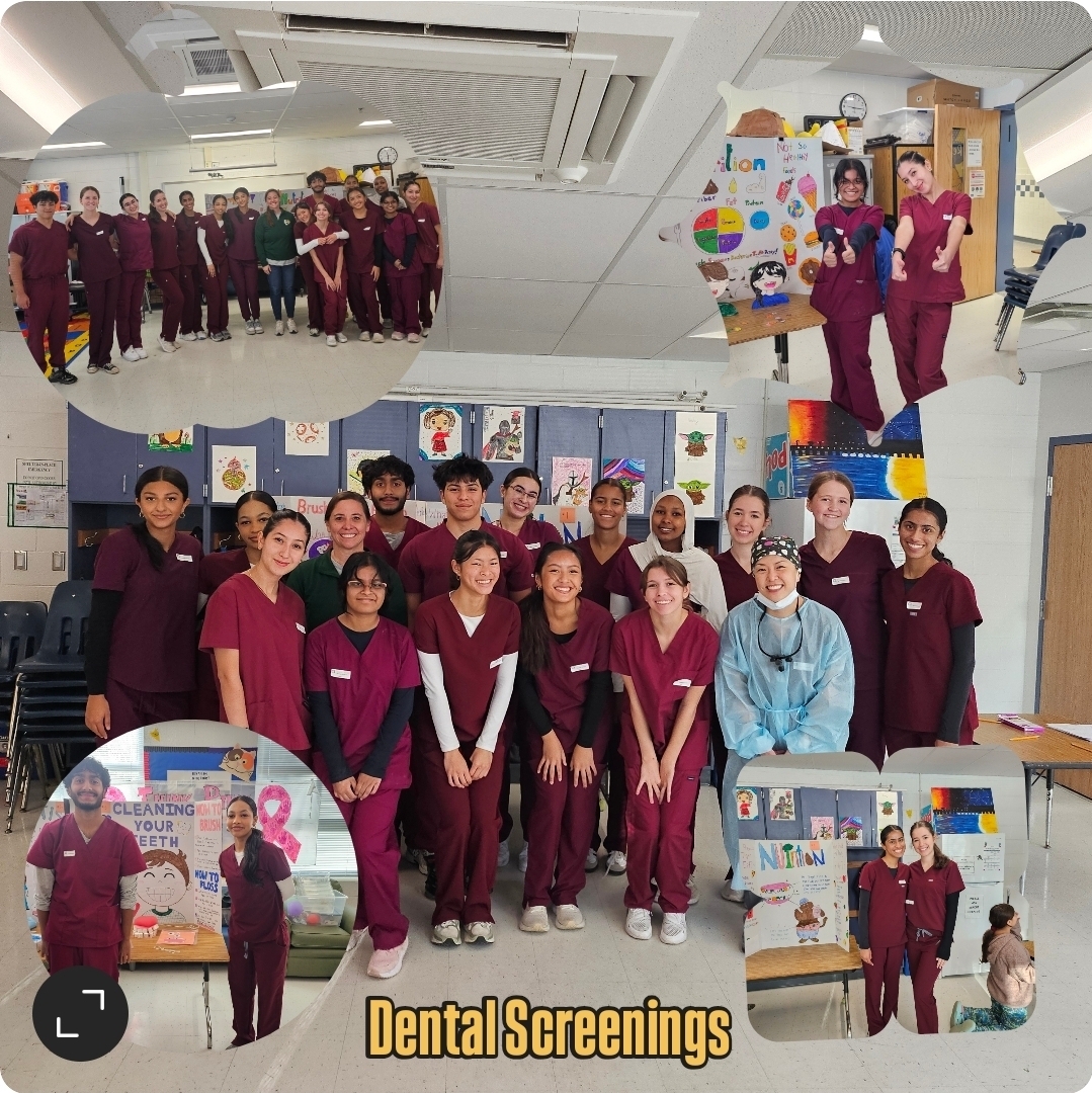 Students providing dental screenings 