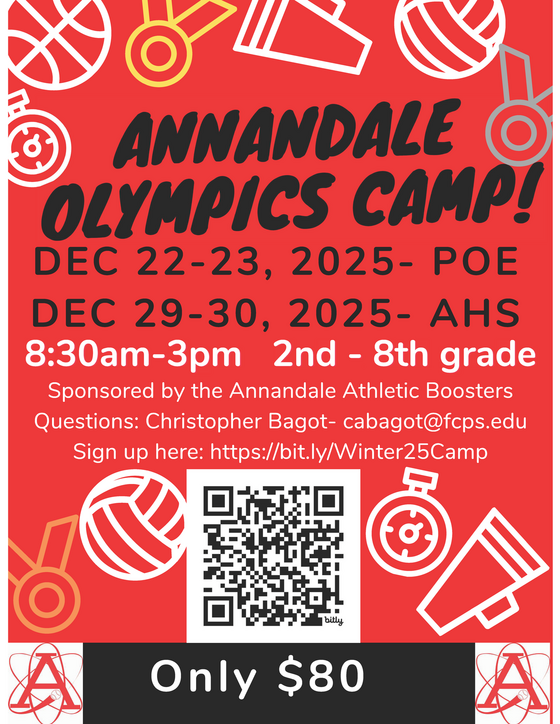 Winter Olympics flyer