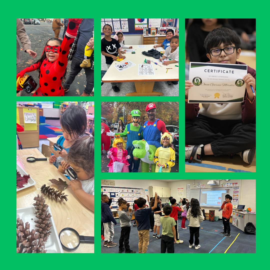 Picture for Newsletter