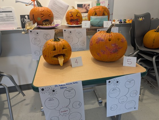 Picture of Halloween pumpkins