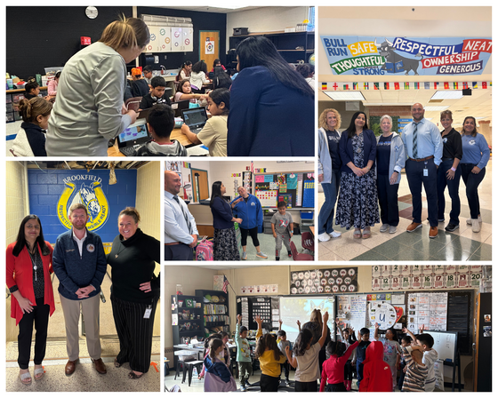 Bull Run and Brookfield ES