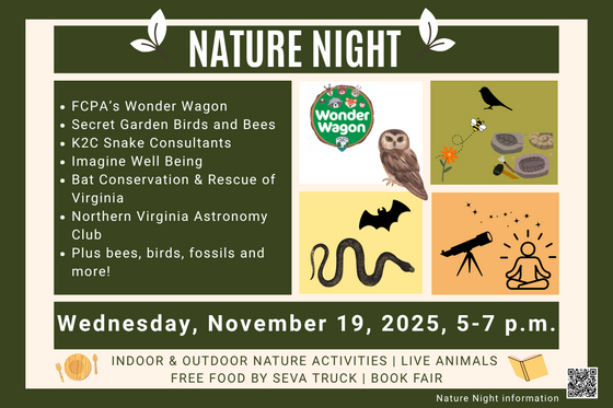 Nature Night QR