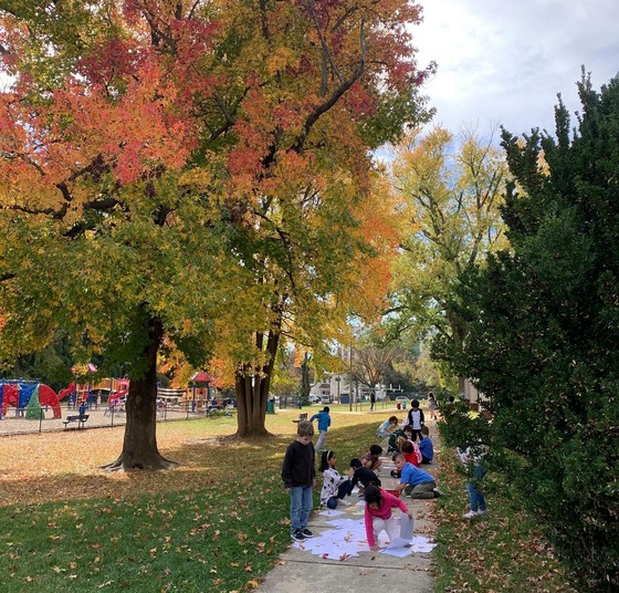 beautiful fall foliage on our campus