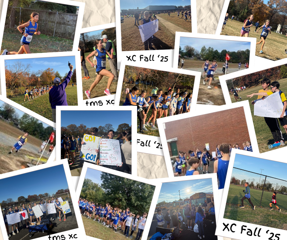 XC Wrap up