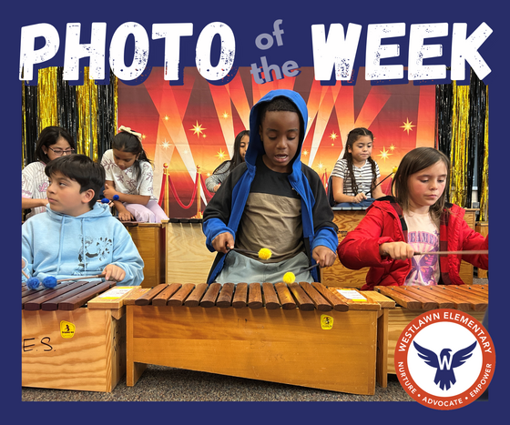 students play orff instruments
