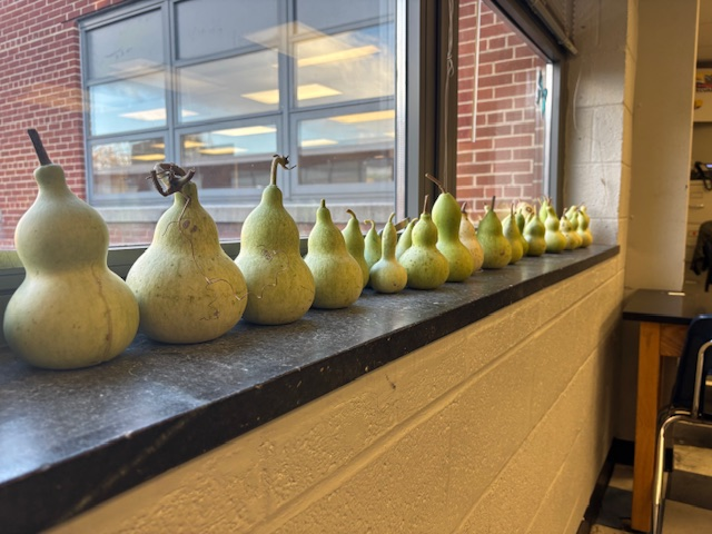 gourds