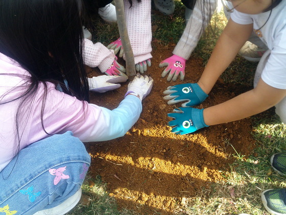 picture of students helping to plant a tree