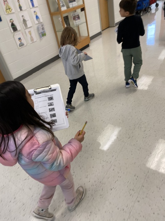 Image of squirrel observation