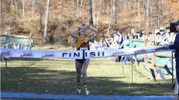 Caroline Sapperstein