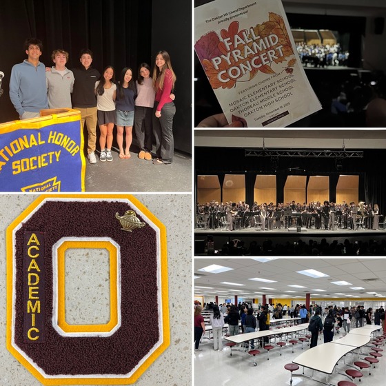 Newsletter Collage Week of Nov. 24