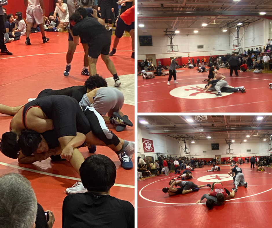 Wrestling at Annandale HS