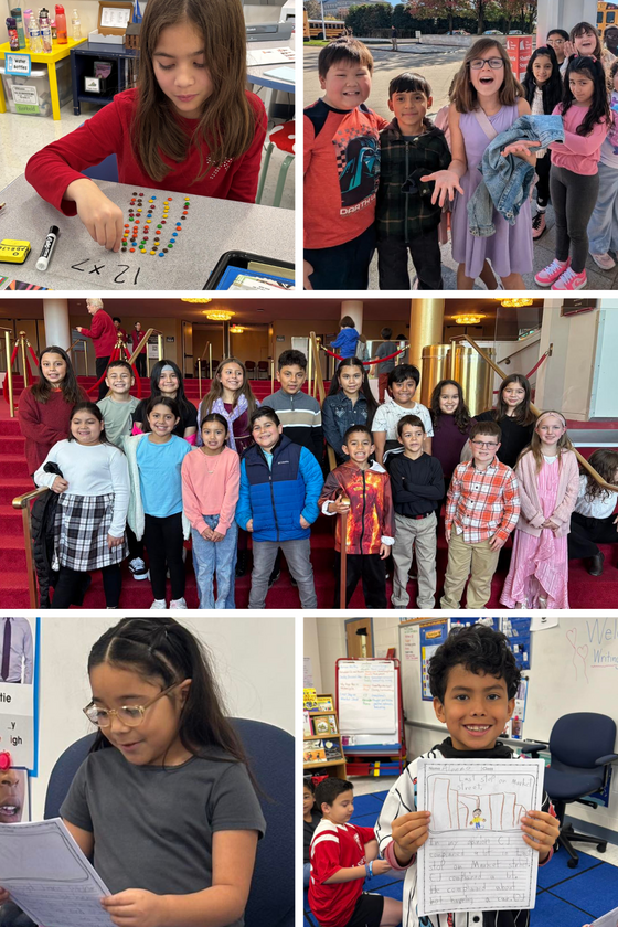 This week at Clearview