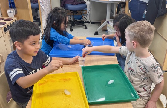 Students conducting a science experiment