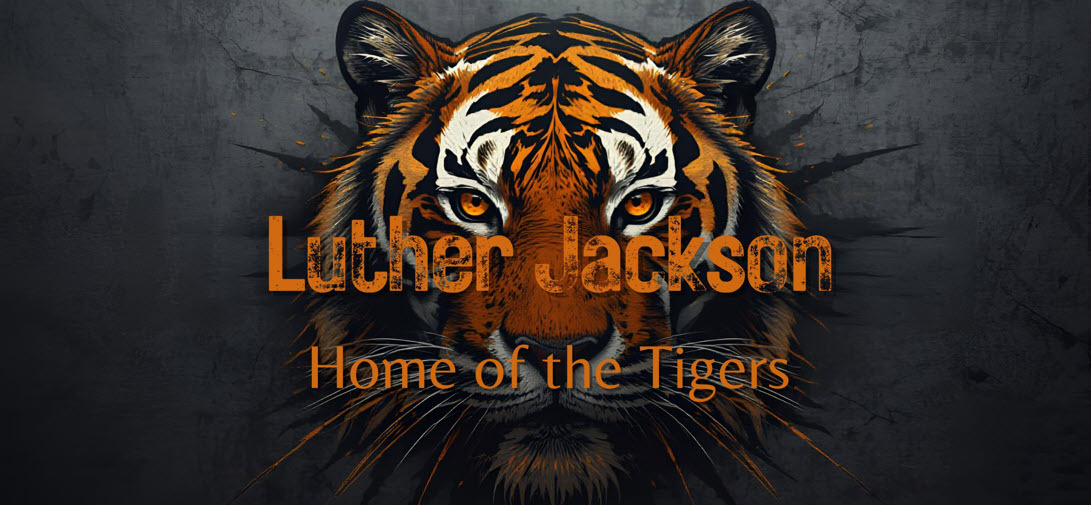 tiger banner