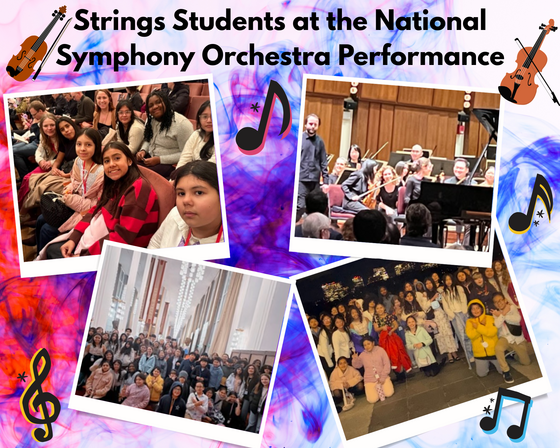 national symphony orchestra photo collage
