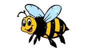 Picture of a bee