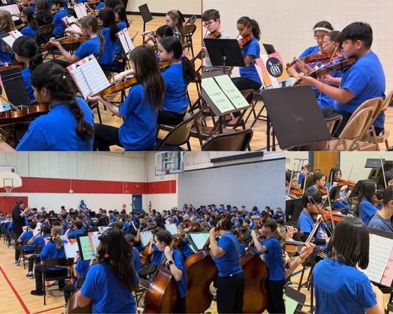 strings students playing strings instruments