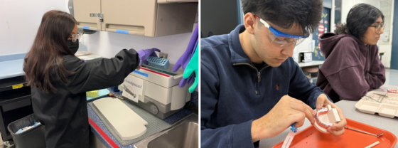 Students sterilizing dental equipment and placing orthodontics on immitation teeth