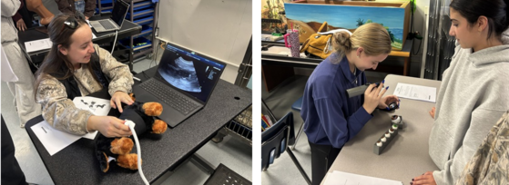 Students practice veterinary tests on stuffed animals and artificial eyes