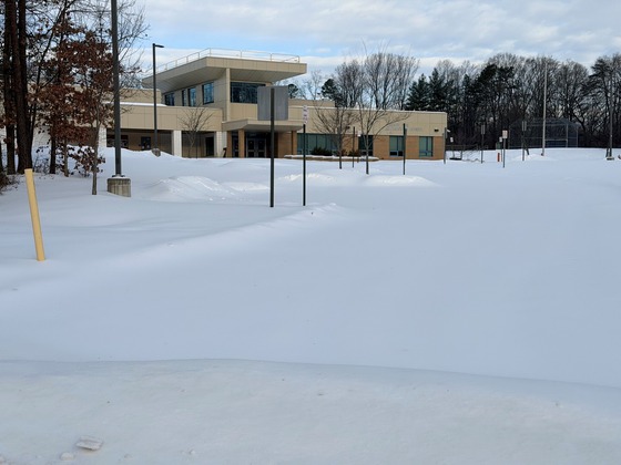 snowy school